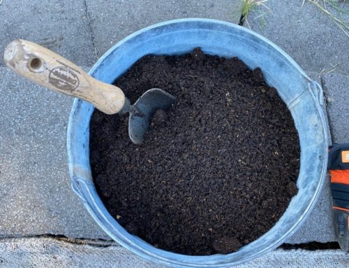 Using VermiCompost as Fertilizer